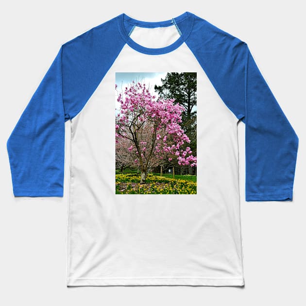 Magnolia Tree Batsford Arboretum Cotswolds UK Baseball T-Shirt by AndyEvansPhotos